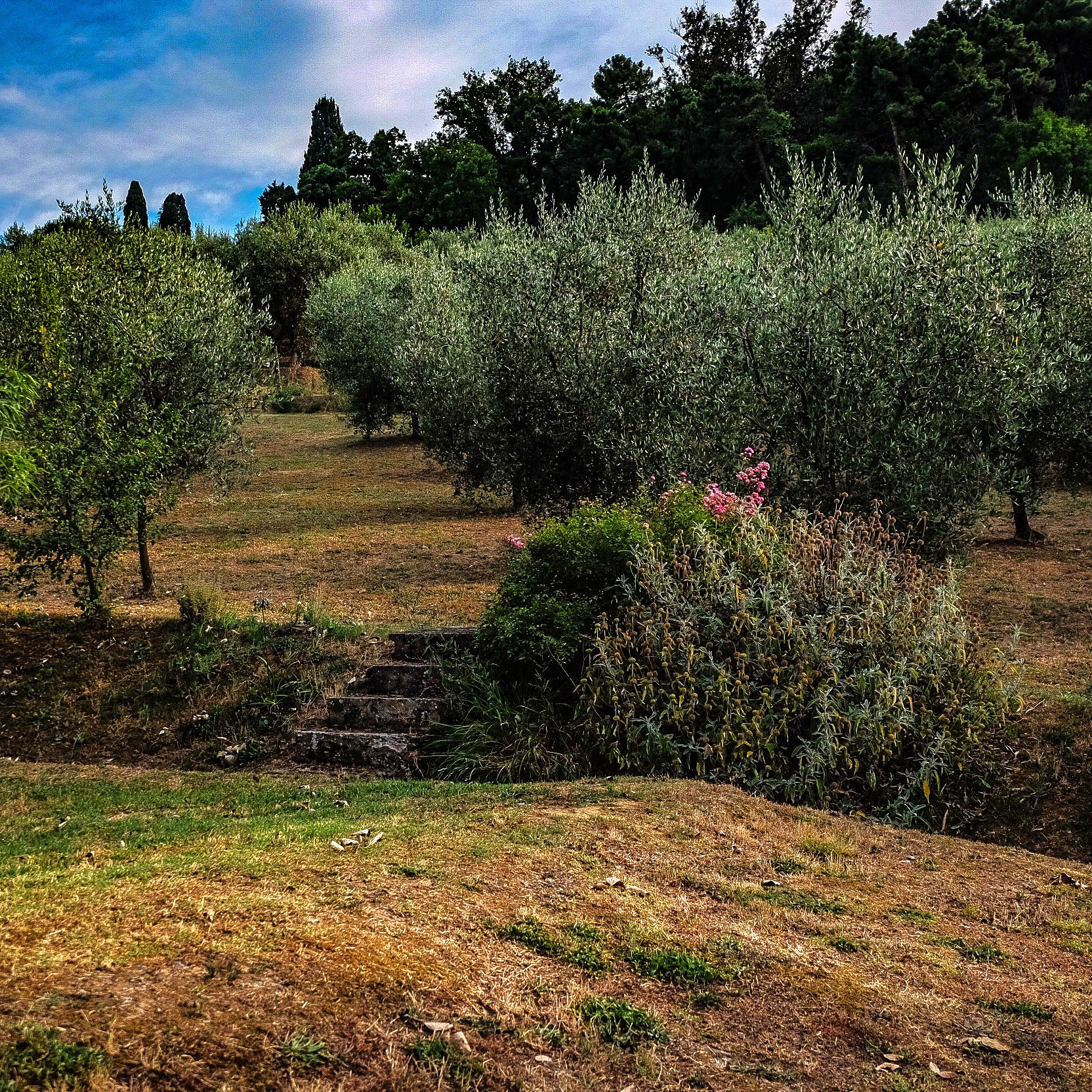 Dettaglio rustico in legno e pietra tipico toscano